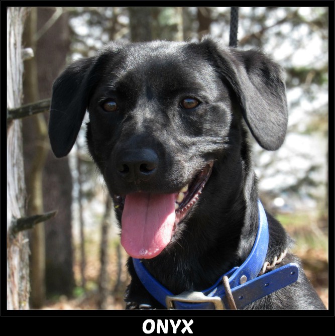 Onyx